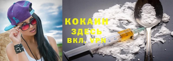 спиды Бородино