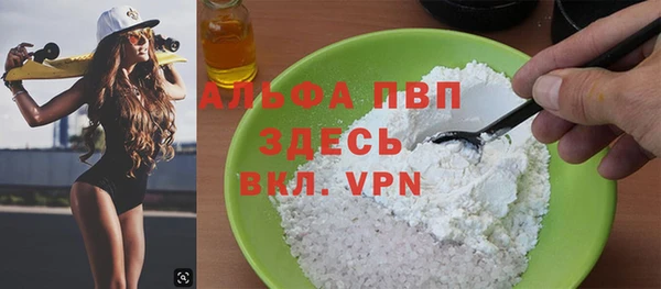 спиды Бородино