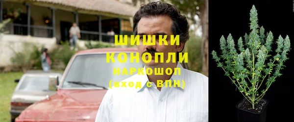 спиды Бородино