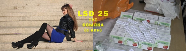 спиды Бородино