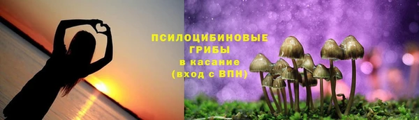 спиды Бородино