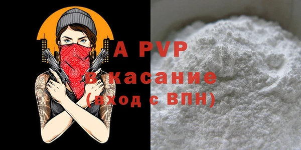 спиды Бородино