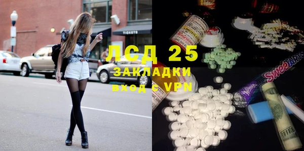 спиды Бородино
