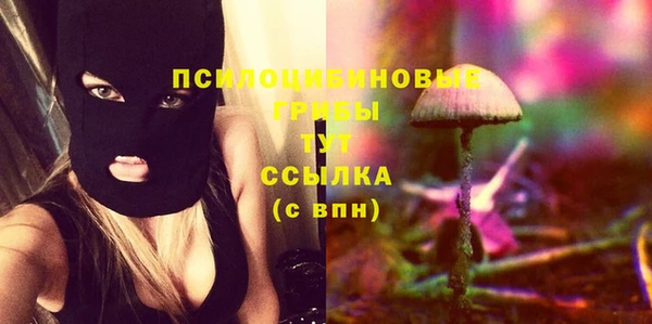 спиды Бородино